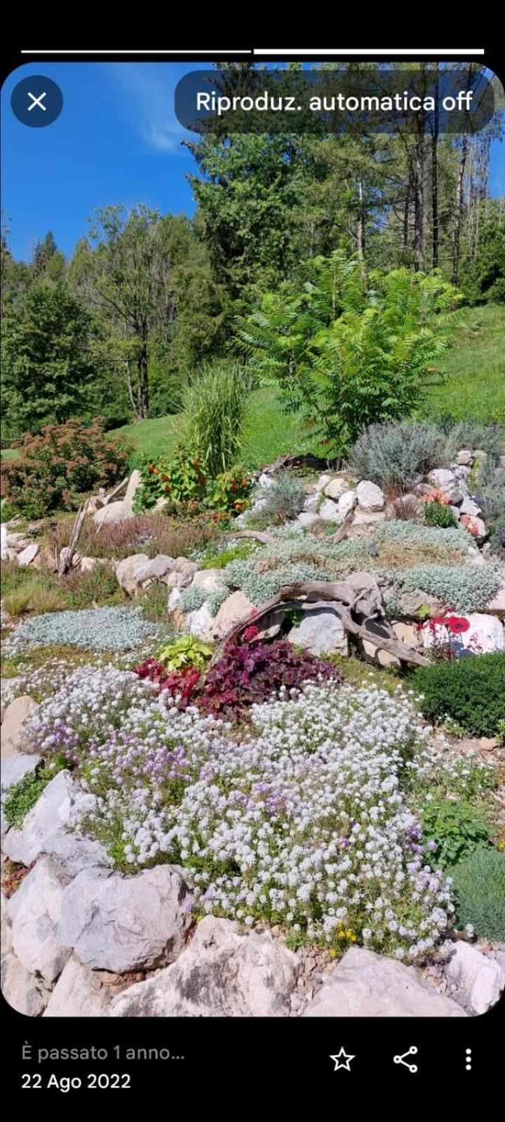 Reggia Al Sole Daire Pieve di Cadore Dış mekan fotoğraf