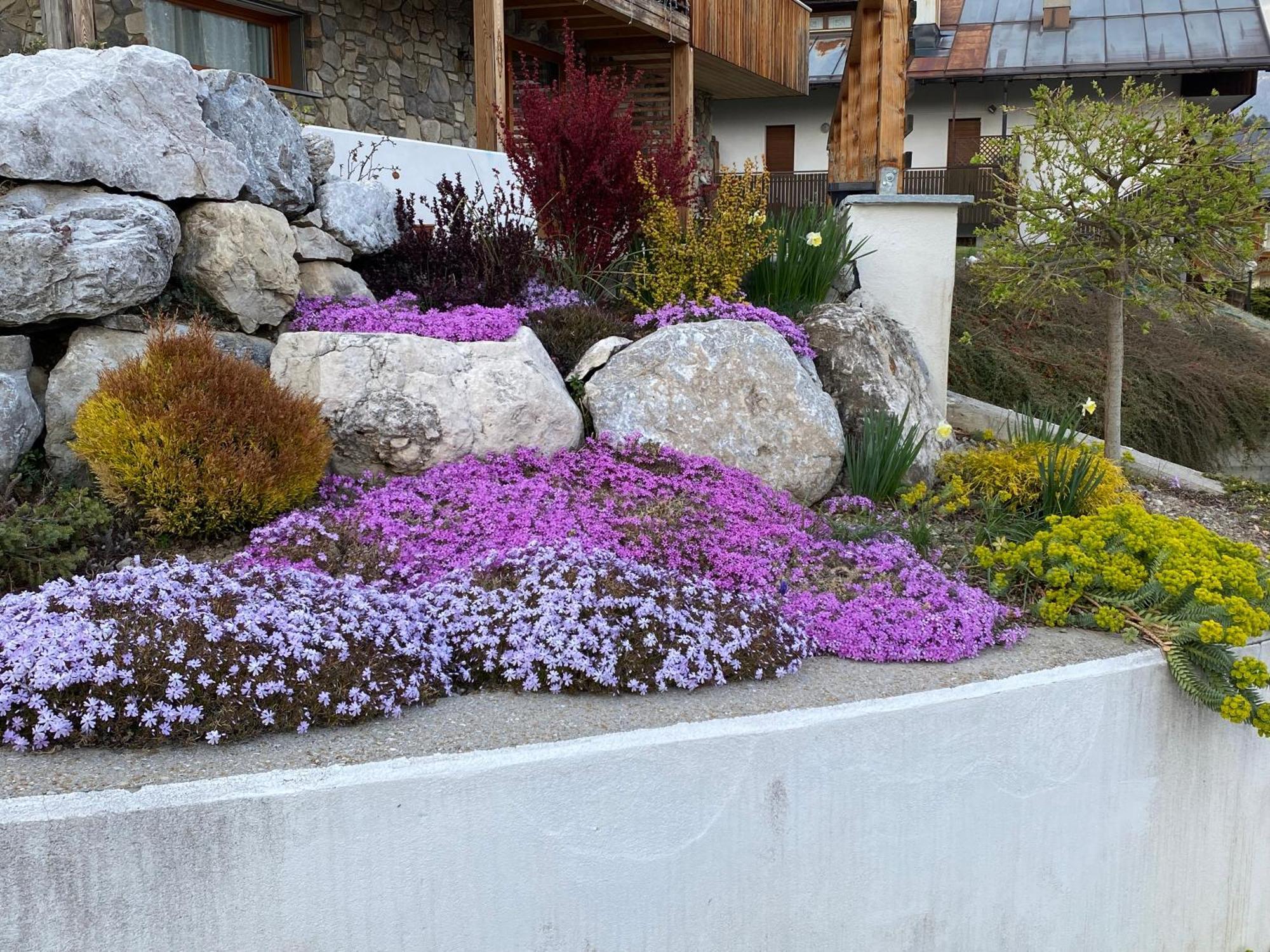 Reggia Al Sole Daire Pieve di Cadore Dış mekan fotoğraf
